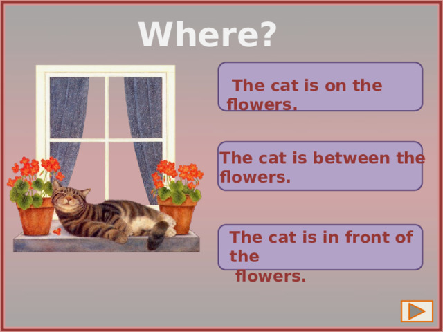 Where?  The cat is on the flowers.  The cat is between the  flowers. The cat is in front of the  flowers. 6 