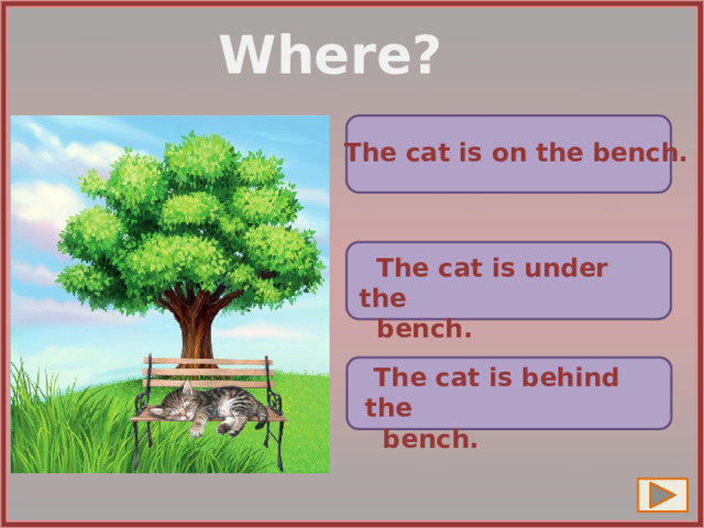 Where?  The cat is on the bench.  The cat is under the  bench.  The cat is behind the  bench. 7 