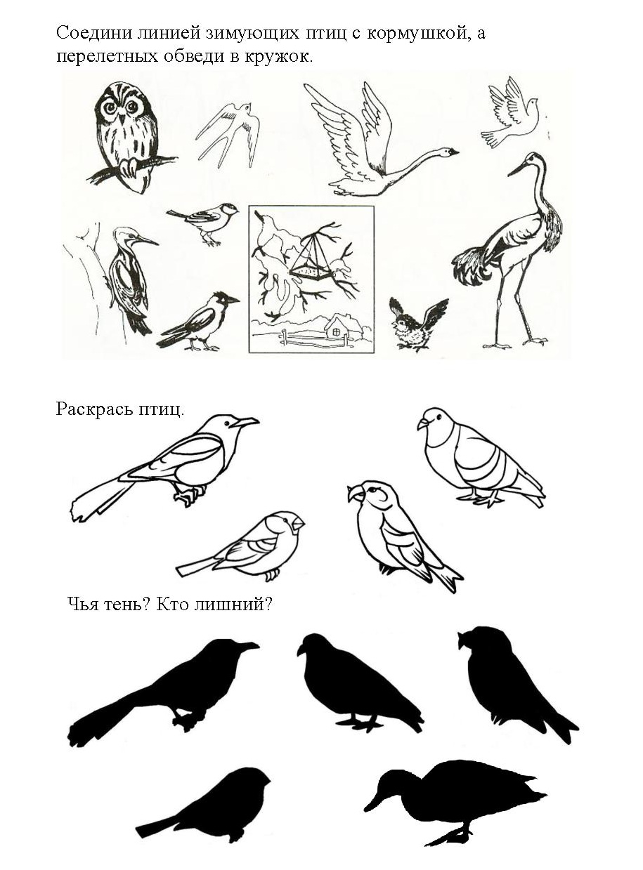 Картинки перелетных птиц для детей распечатать цветные для вырезания