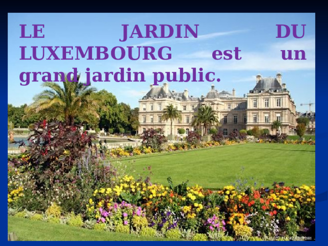 LE JARDIN DU LUXEMBOURG est un grand jardin public. 