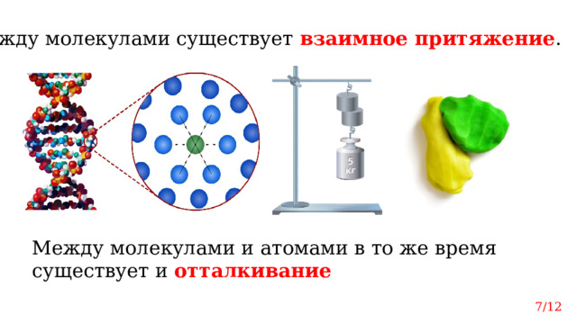 Между молекулами существует взаимное притяжение . Между молекулами и атомами в то же время существует и отталкивание 7/12 