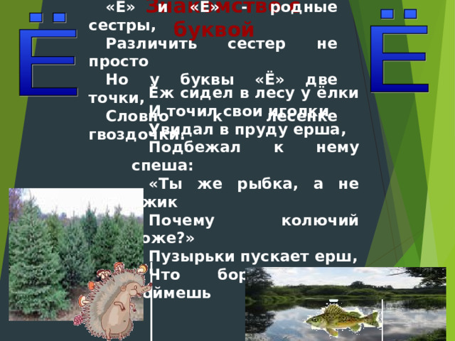 «Е» и «Ё» - родные сестры, Различить сестер не просто Но у буквы «Ё» две точки, Словно к лесенке гвоздочки. Знакомство с буквой Ёж сидел в лесу у ёлки И точил свои иголки Увидал в пруду ерша, Подбежал к нему спеша: «Ты же рыбка, а не ёжик Почему колючий тоже?» Пузырьки пускает ерш, Что бормочет не поймешь 