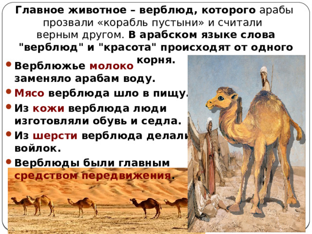 Главное животное – верблюд, которого арабы прозвали «корабль пустыни» и считали верным другом. В арабском языке слова 