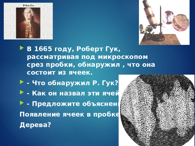В 1665 году, Роберт Гук, рассматривая под микроскопом срез пробки, обнаружил , что она состоит из ячеек. - Что обнаружил Р. Гук? - Как он назвал эти ячейки? - Предложите объяснение Появление ячеек в пробке Дерева? 