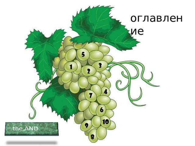 оглавление  