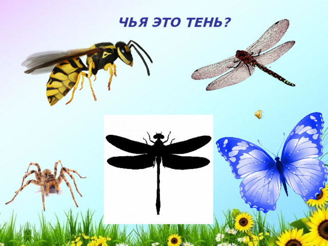 ЧЬЯ ЭТО ТЕНЬ? 