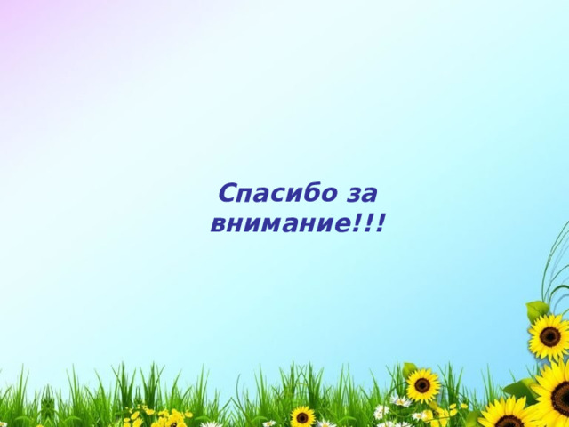 Спасибо за внимание!!!  