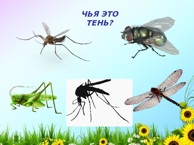 ЧЬЯ ЭТО ТЕНЬ?  