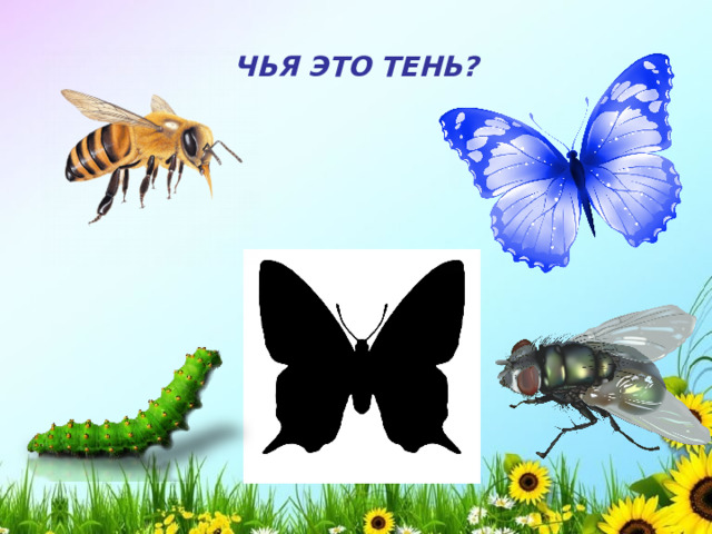 ЧЬЯ ЭТО ТЕНЬ?  