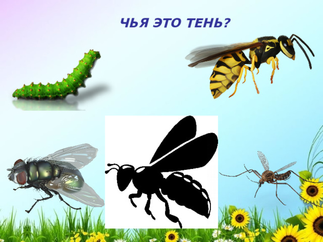 ЧЬЯ ЭТО ТЕНЬ?  