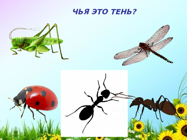 ЧЬЯ ЭТО ТЕНЬ?  
