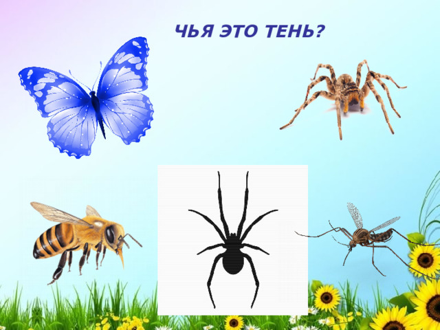 ЧЬЯ ЭТО ТЕНЬ?  