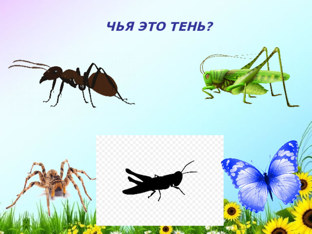 ЧЬЯ ЭТО ТЕНЬ?  