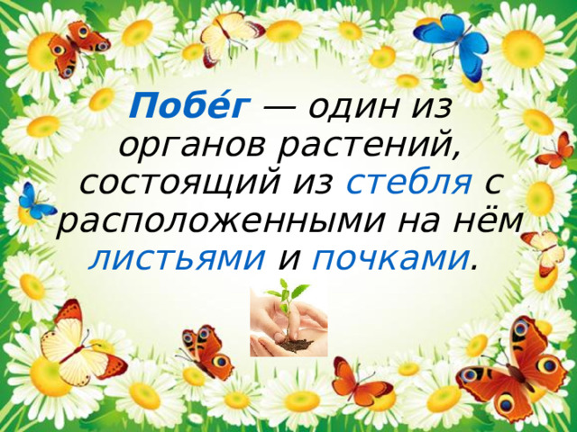 Побе́г — один из органов растений, состоящий из стебля с расположенными на нём листьями и почками . 