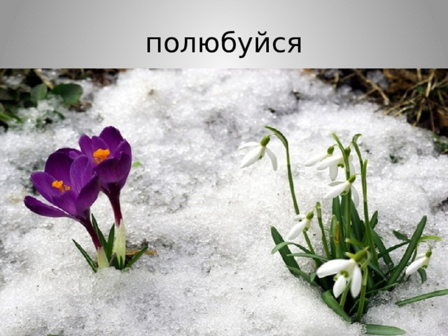 полюбуйся 