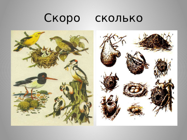 Скоро сколько 