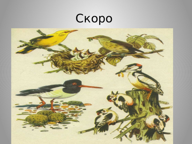 Скоро 