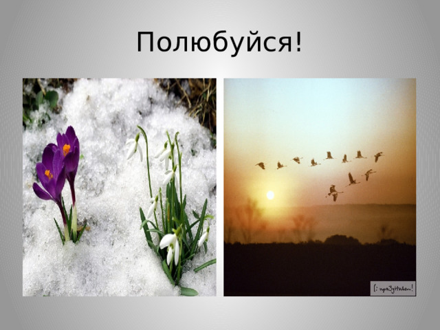 Полюбуйся! 
