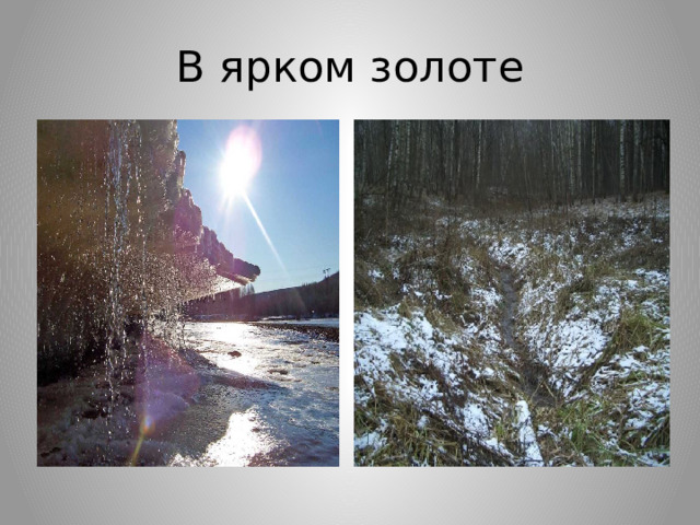 В ярком золоте 