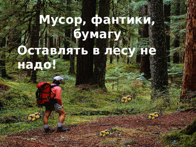 Мусор, фантики, бумагу Оставлять в лесу не надо! 