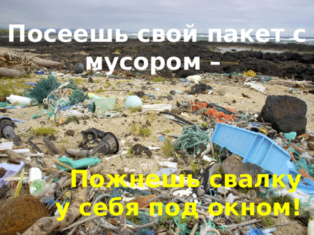 Посеешь свой пакет с мусором – Пожнешь свалку у себя под окном! 