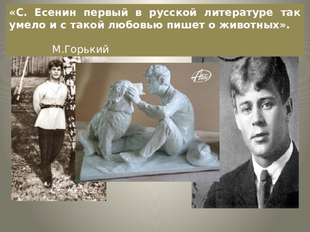 «С. Есенин первый в русской литературе так умело и с такой любовью пишет о животных».  М.Горький 