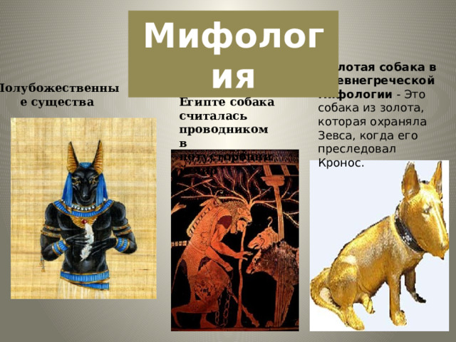Мифология   Золотая собака в Древнегреческой мифологии - Это собака из золота, которая охраняла Зевса, когда его преследовал Кронос. В древнем Египте собака считалась проводником в потусторонний мир Полубожественные существа 