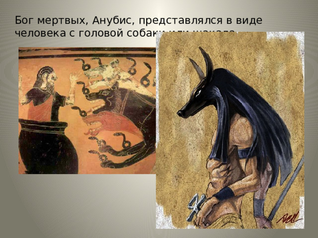 Бог мертвых, Анубис, представлялся в виде человека с головой собаки или шакала. 