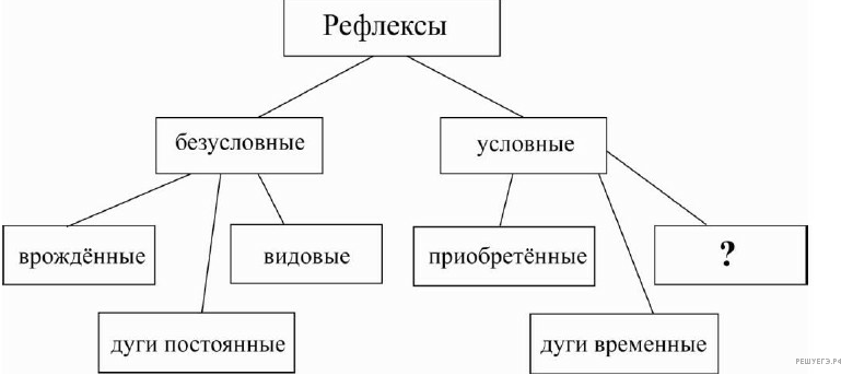 Нервная система, поведение и размножение рыб - презентация онлайн