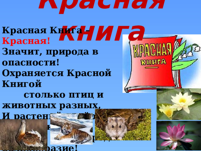 Красная книга Красная Книга – Красная!   Значит, природа в опасности!  Охраняется Красной Книгой столько птиц и животных разных,  И растений ковёр многоликий – всё природы разнообразие! 