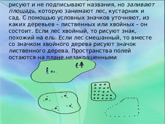  З еленый цвет называют фоновым – им не рисуют и не подписывают названия, но заливают площадь , которую занимают лес, кустарник и сад. С помощью условных значков уточняют, из каких деревьев – лиственных или хвойных – он состоит. Если лес хвойный, то рисуют знак, похожий на ель. Если лес смешанный, то вместе со значком хвойного дерева рисуют значок лиственного дерева. Пространства полей остаются на плане незакрашенными 