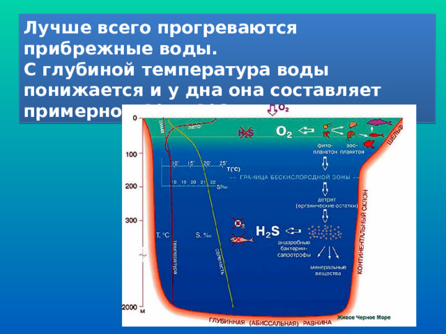 Как изменяется температура вод мирового океана