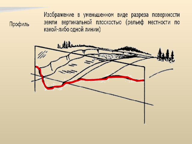 Уменьшенное изображение вертикального разреза земной поверхности по заданному направлению это