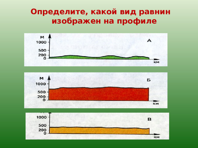 Определите, какой вид равнин изображен на профиле 