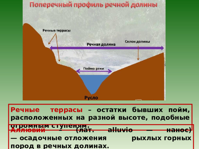 Речные террасы  – остатки бывших пойм, расположенных на разной высоте, подобные огромным ступеням. Аллювий – (лат. alluvio — нанос) — осадочные отложения рыхлых горных пород в речных долинах. 