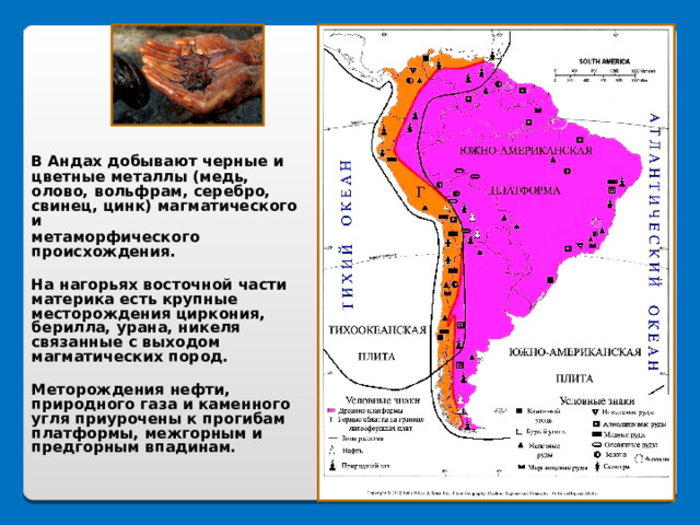  В Андах добывают черные и цветные металлы (медь, олово, вольфрам, серебро, свинец, цинк) магматического и  метаморфического происхождения.   На нагорьях восточной части материка есть крупные месторождения циркония, берилла, урана, никеля связанные с выходом магматических пород.   Меторождения нефти, природного газа и каменного угля приурочены к прогибам платформы, межгорным и предгорным впадинам. 