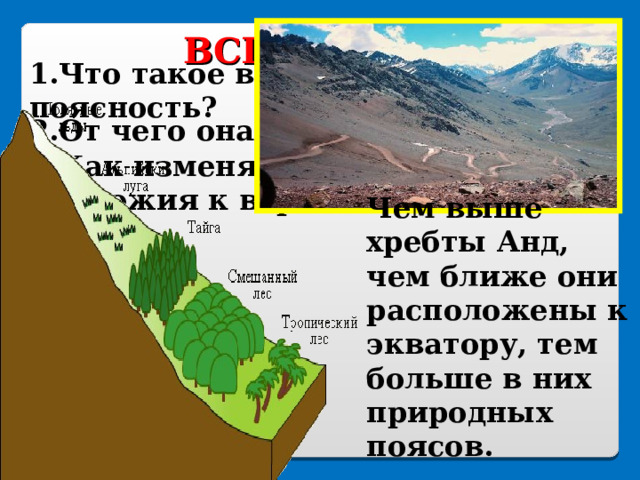 ВСПОМНИМ! 1.Что такое высотная поясность? 2.От чего она зависит? 3.Как изменяется природа от подножия к вершине? Чем выше хребты Анд, чем ближе они расположены к экватору, тем больше в них природных поясов. 