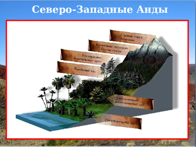 Северо-Западные Анды 