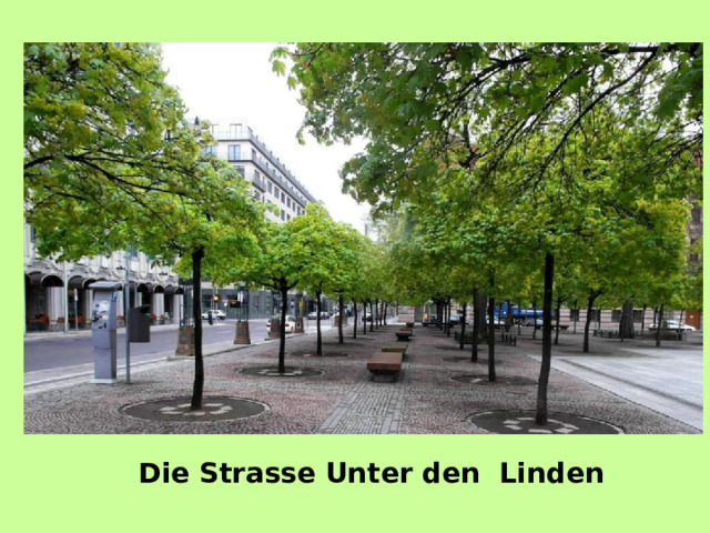 Die Strasse Unter den Linden 