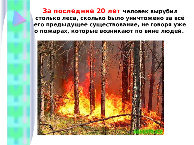 За последние 20 лет человек вырубил столько леса, сколько было уничтожено за всё его предыдущее существование, не говоря уже о пожарах, которые возникают по вине людей. 