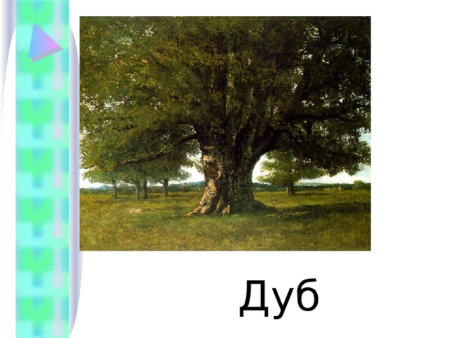  Дуб 