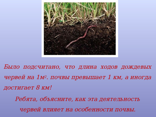 Было подсчитано, что длина ходов дождевых червей на 1м 2 . почвы превышает 1 км, а иногда достигает 8 км! Ребята, объясните, как эта деятельность червей влияет на особенности почвы. 