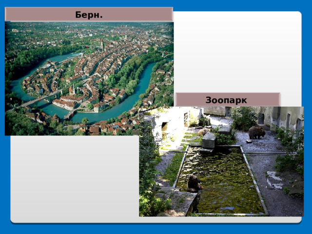 Берн. Зоопарк 