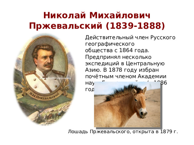 Николай Михайлович Пржевальский (1839-1888) Действительный член Русского географического общества с 1864 года. Предпринял несколько экспедиций в Центральную Азию. В 1878 году избран почётным членом Академии наук. Генерал-майор (с 1886 года). Лошадь Пржевальского, открыта в 1879 г. 