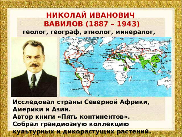 Исследовал азию. Николай Иванович Вавилов экспедиции. Исследователь Африки Николай Иванович Вавилов. Экспедиция Николая Вавилова. Николай Иванович Вавилов географические открытия.