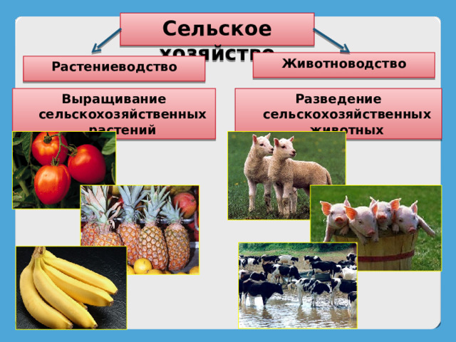 Таблица растениеводство животноводство