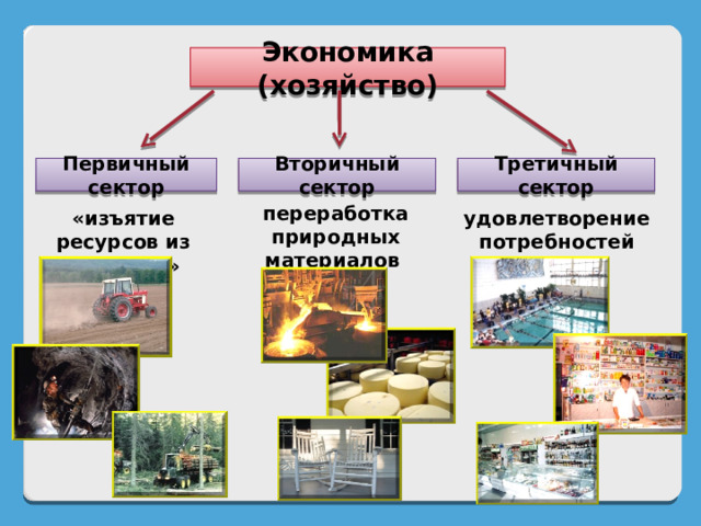 Первичное хозяйство