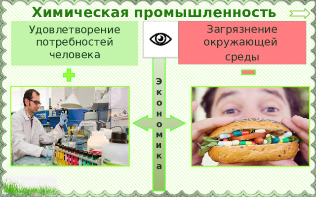 Химическая промышленность Загрязнение окружающей среды Удовлетворение потребностей человека Экономика 