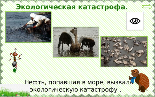 Экологическая катастрофа.  Нефть, попавшая в море, вызвала экологическую катастрофу . 
