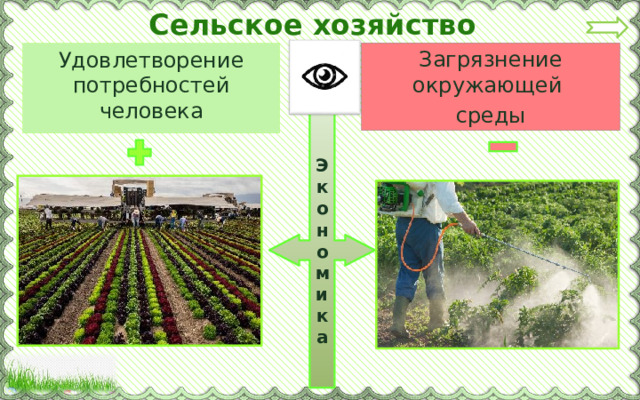 Сельское хозяйство Загрязнение окружающей среды Удовлетворение потребностей человека Экономика 